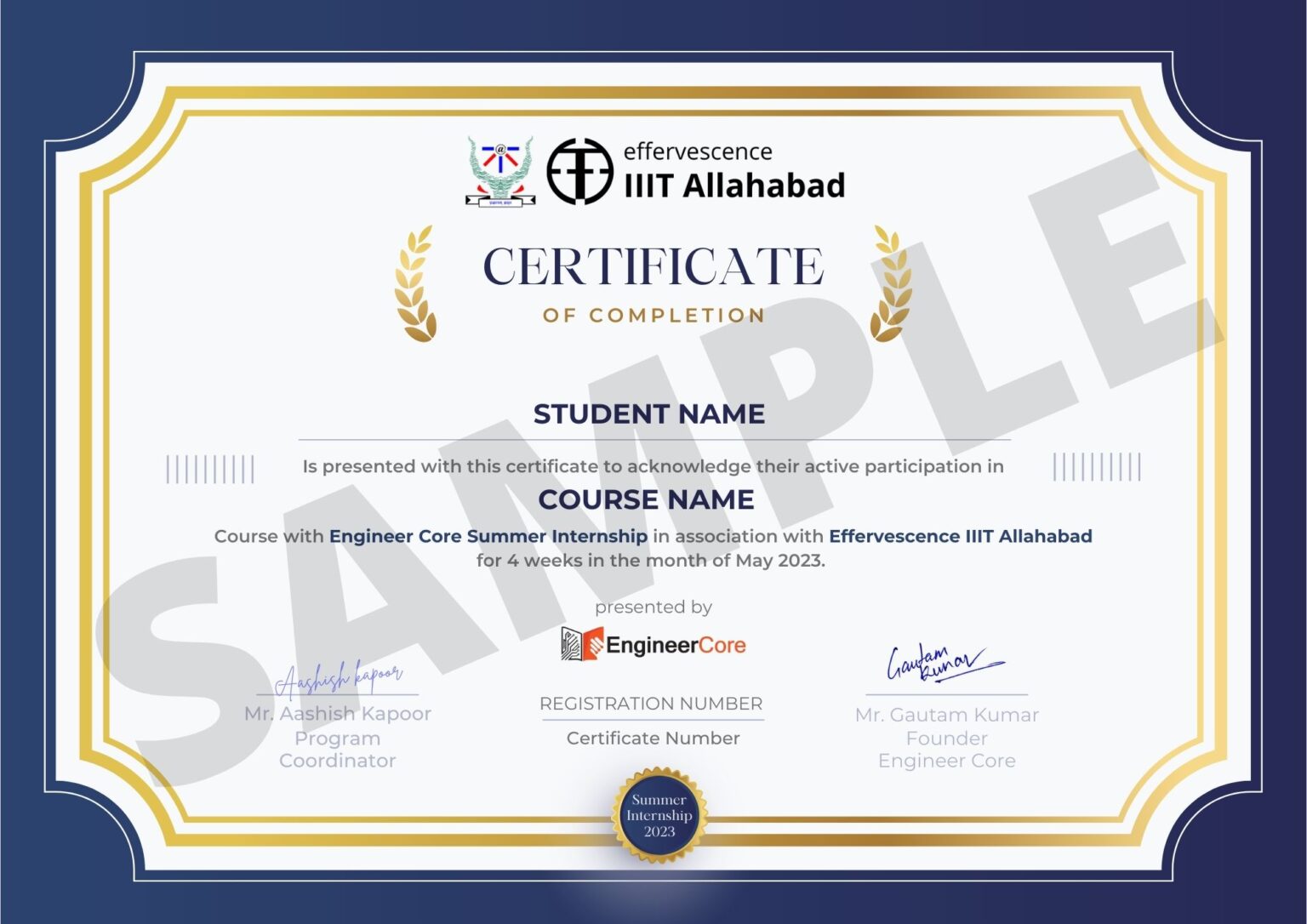 Summer Internship IIIT Allahabad Checkout engineercore.in